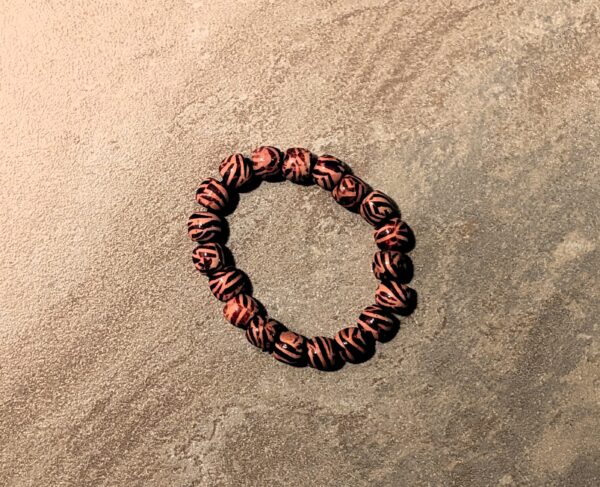 Tribal Warrior Band